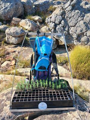 Planting backpack