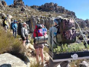 20250726-115341-msca-cedar-tree-planting-weekend_original