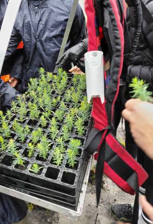 heuningvlei-planting-day-23-august-2025-122359_original